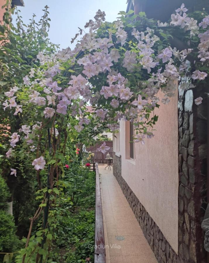 Casa in Ploiesti - 4