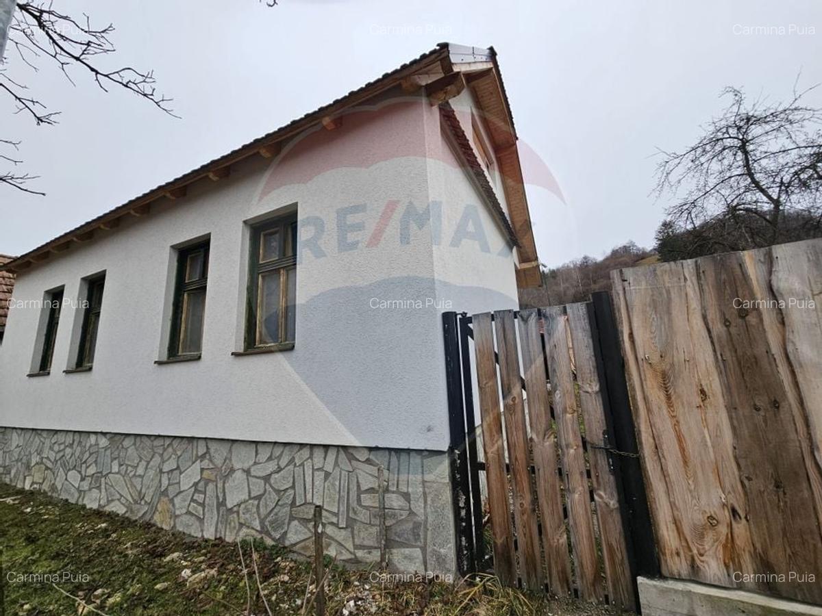CASA 3 CAMERE SINCA NOUA / 5650 mp teren - 4