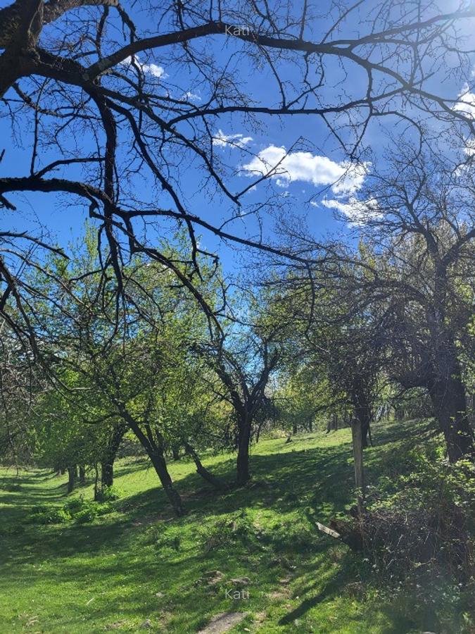 Vand 2 case batranesti Musetesti Gorj - 3