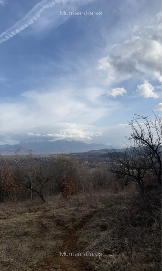 Teren intravilan 3400mp - 10