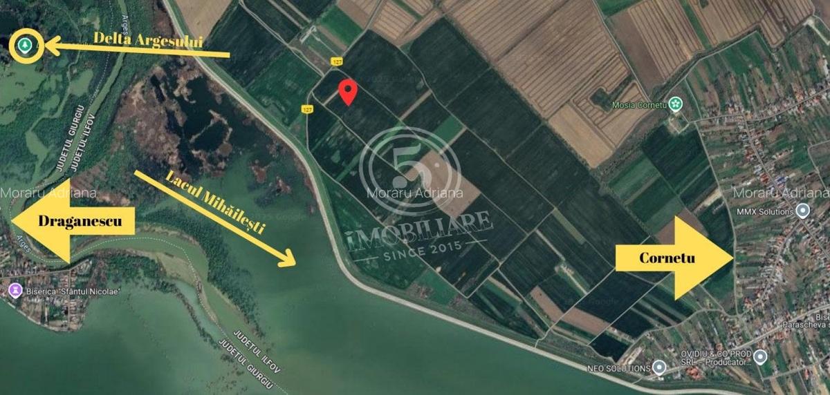 Teren agricol intravilan, Cornetu, Ilfov – 4.472 mp - 3