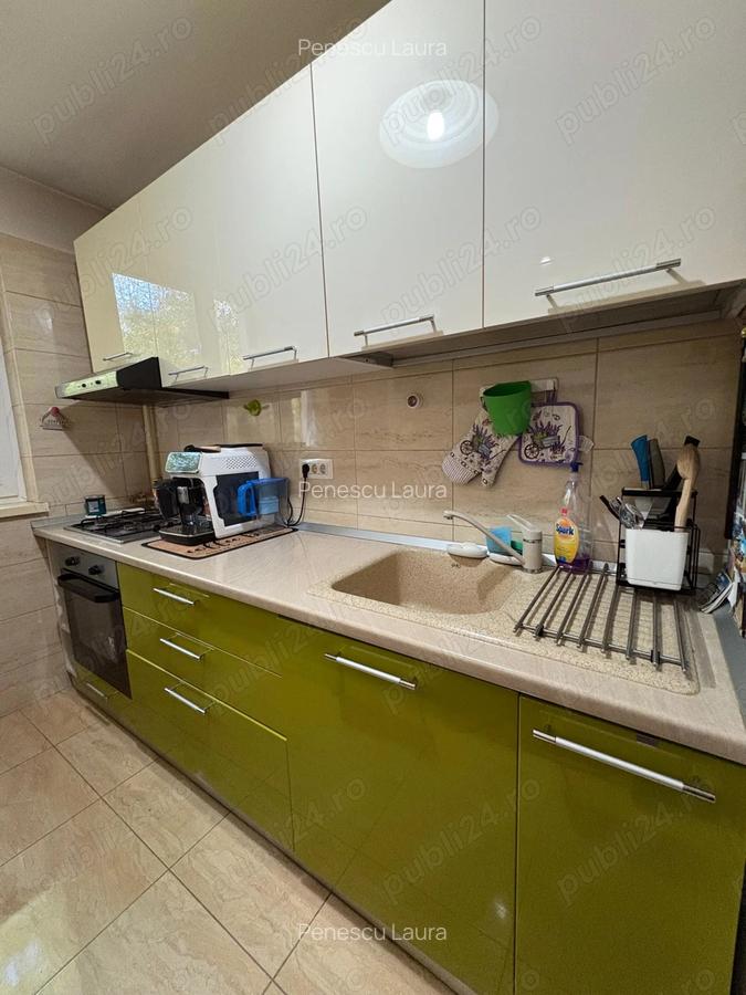 Apartament 2 camere de inchiriat, Terasei Obregia - 10