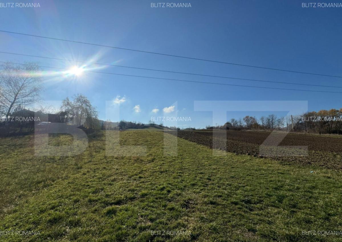 Teren extravilan 2700mp in Carjiti - 2