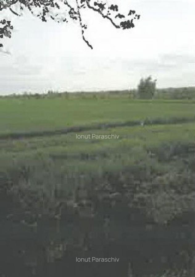 Teren extravilan Pietroasele, ID: R2586802 - 7