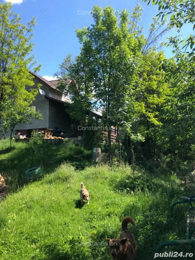 Vind casa 4 camere P+etaj si teren 1000 mp ,Sotrile ,Prahova 55000 E - 2