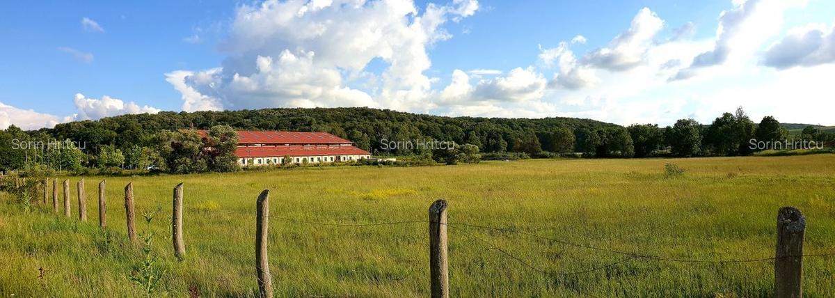 Destinație mixtă (restaurant, showroom, manej) - Herneacova - 2