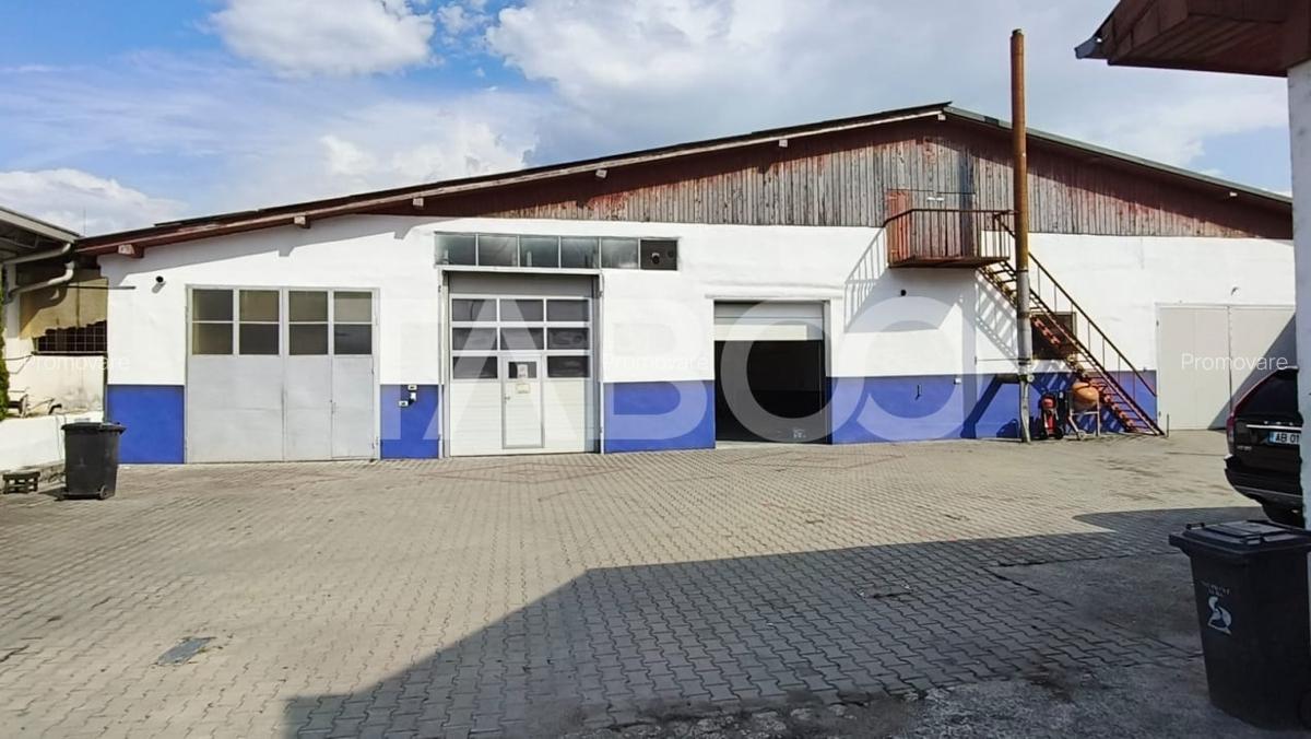 Spatiu industrial de 300 mp de inchiriat in Sebes Alba - 1