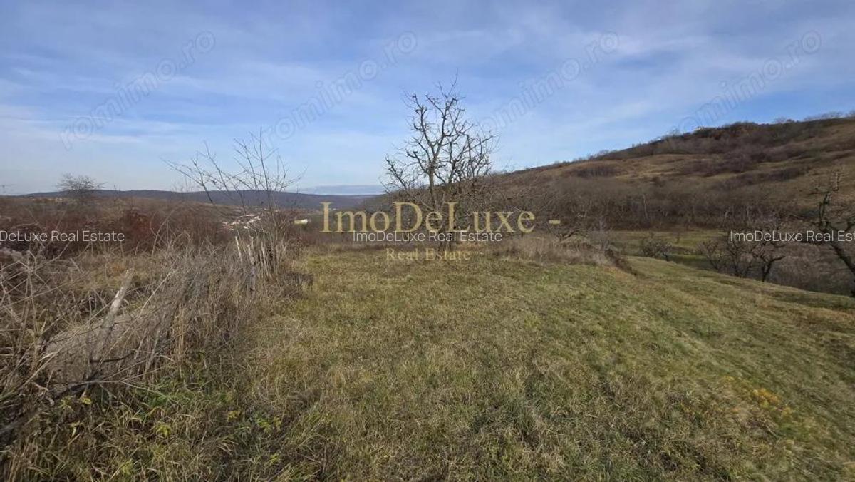 Teren extravilan langa lac, 8500mp, priveliste, acces, utilitati, zona Baciu - 1