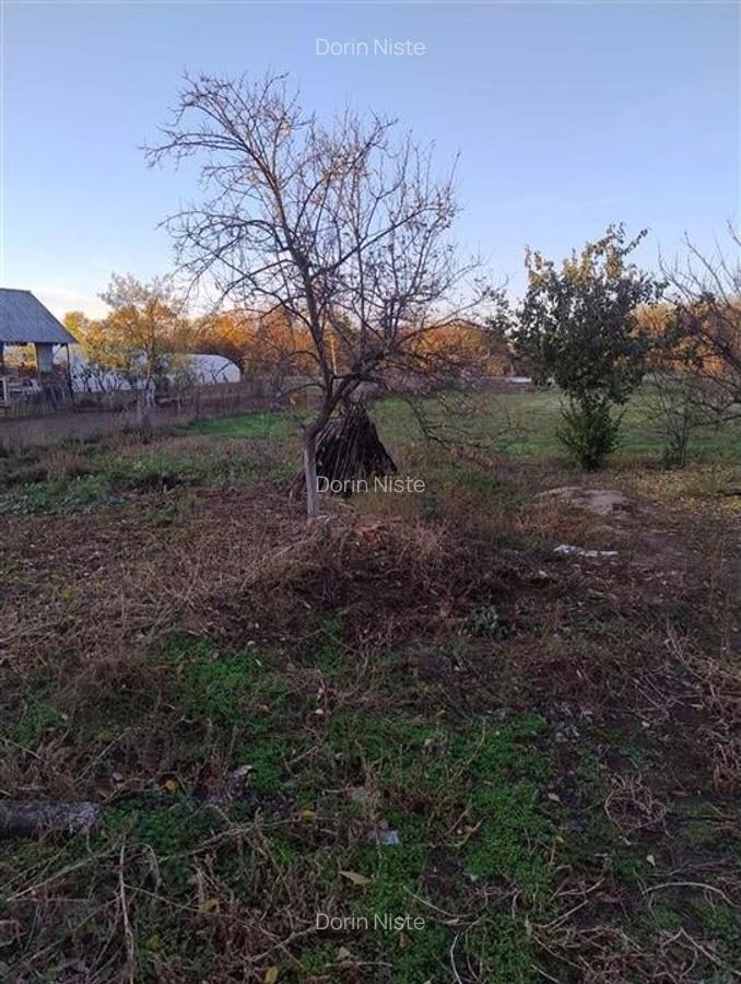 RECO Casa 3 camere, Alparea - 5