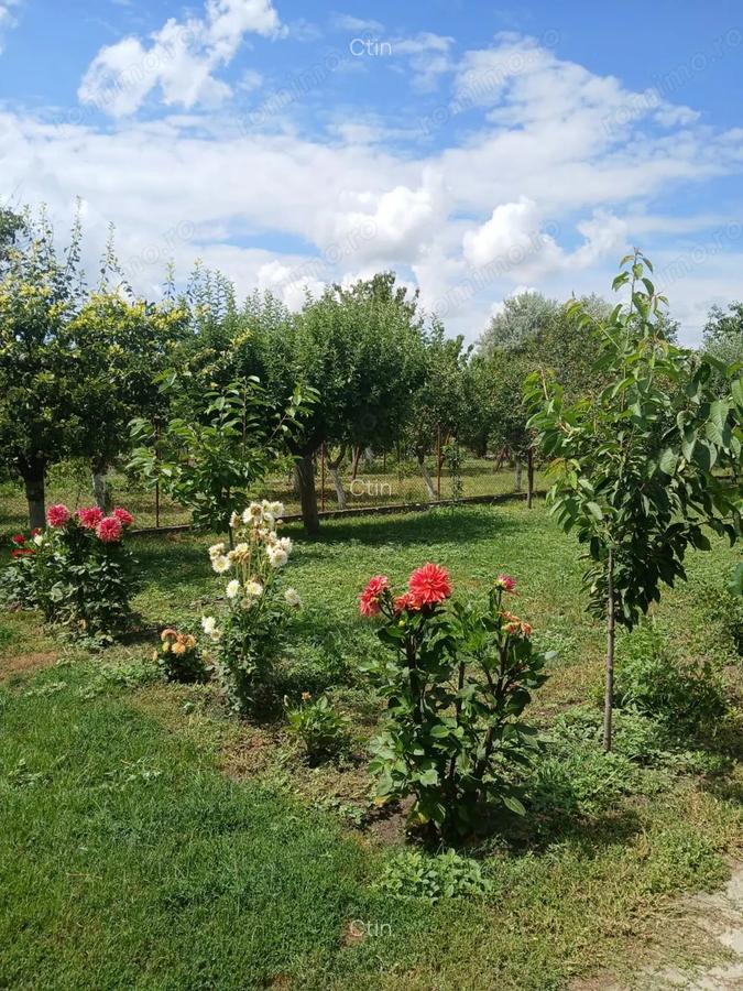 Vand, schimb casa in Ineu, jude?ul Arad - 6