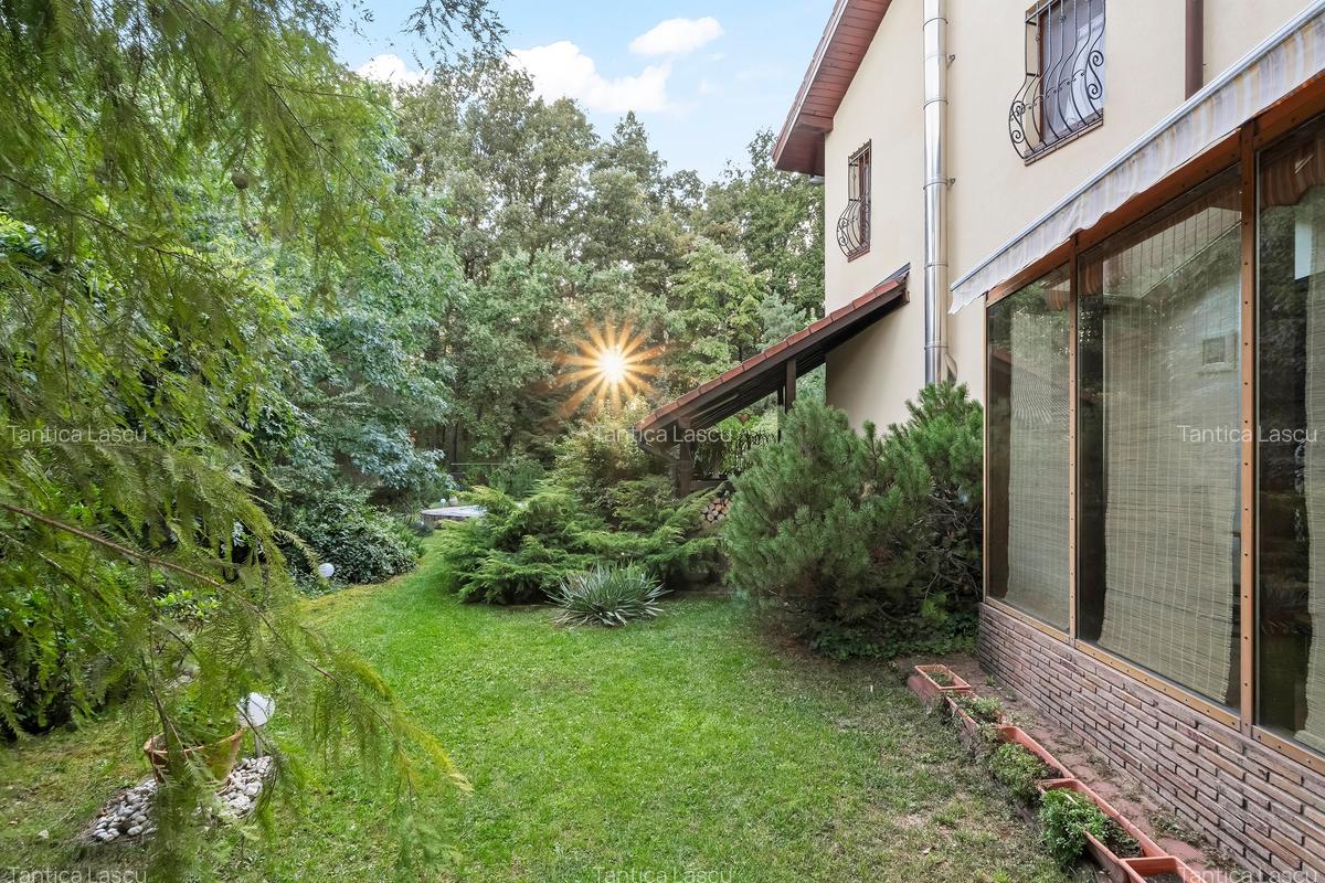 Promotie -  vila langa padure cu piscina-Paradisul Verde - 16