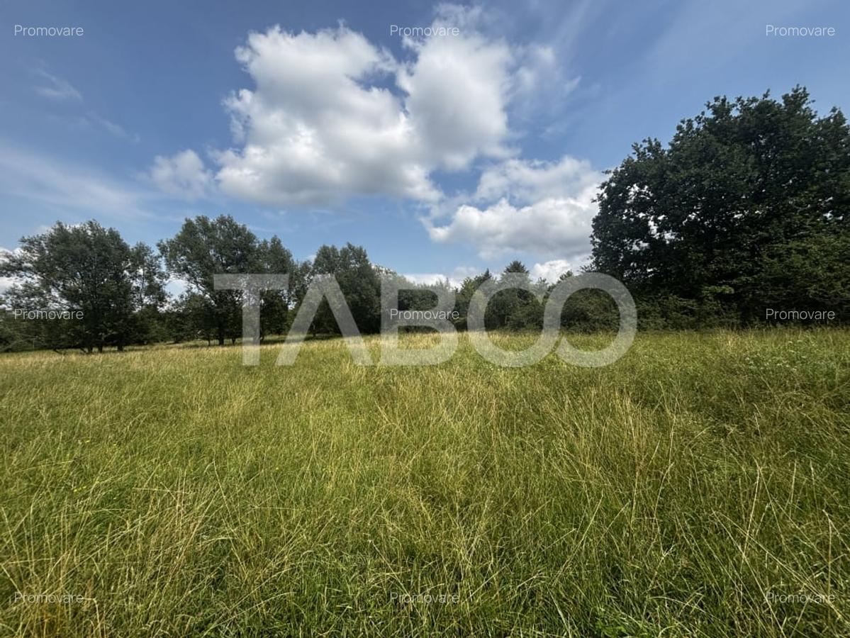 OPORTUNITATE INVESTITIE Teren de vanzare Tocile 3100 mp intravilan - 3