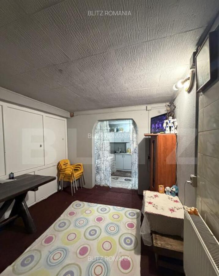 Teren intravilan agricol, sere, anexa agricola, 11500 mp ter - 5