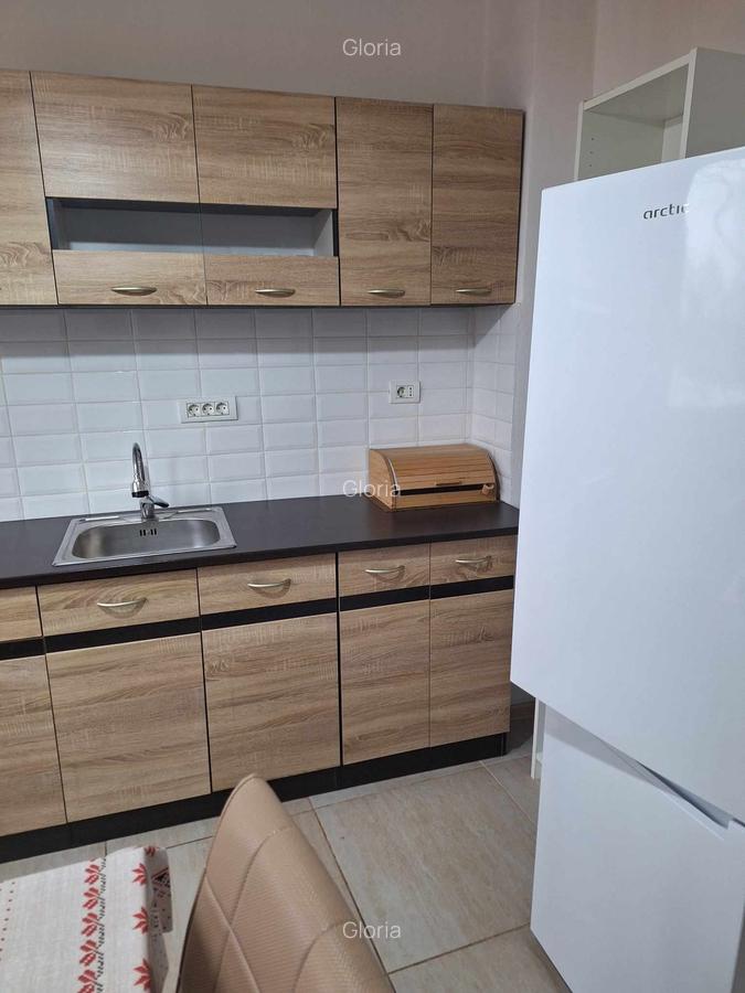 Apartament cu 3 camere decomandat, mobilat în P-ța Unirii - 19
