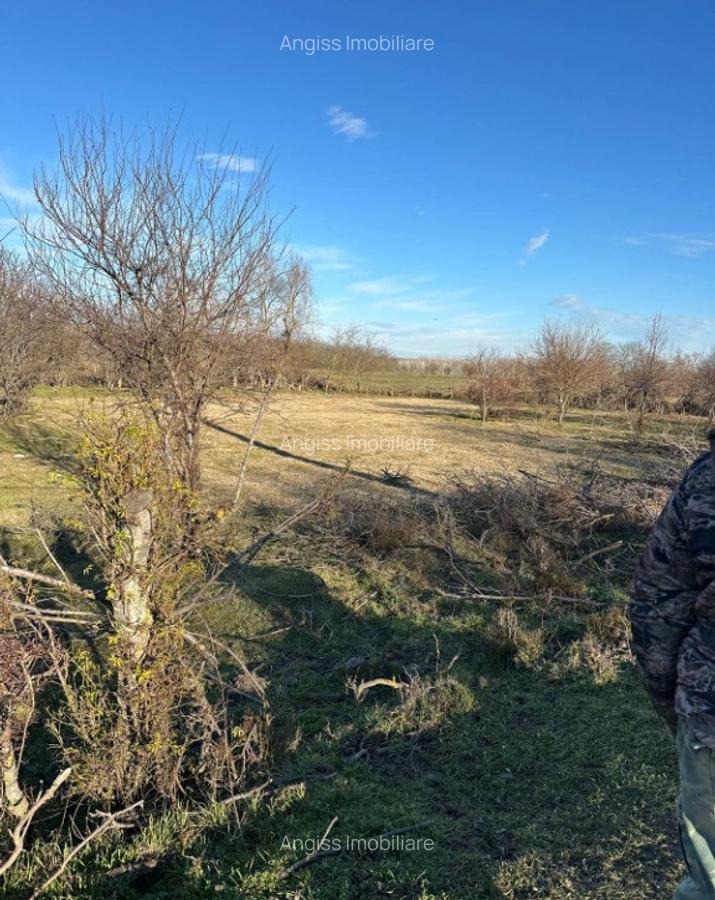 Teren- intravilan in DELTA- loc BALTENII DE JOS - 3