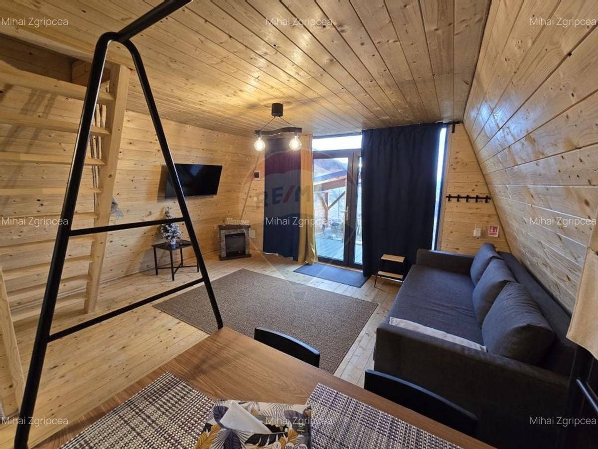 Proprietate Speciala in Gura Raului, Sibiu - Doua Cabane A-Frame - 11
