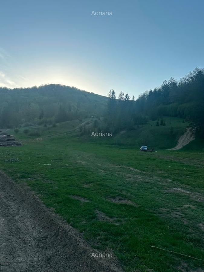 Teren intravilan în Marginea - 4