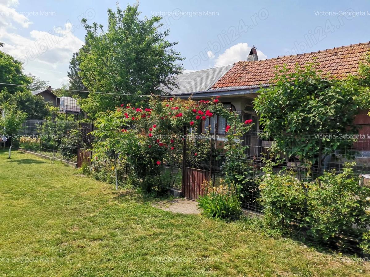 Teren cu casa de vanzare - 8