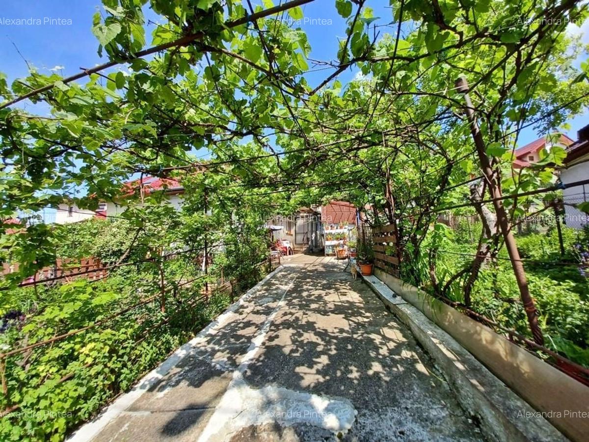 Casa individuala cu teren de 300 mp, front de 13m, cartier Gruia - 1