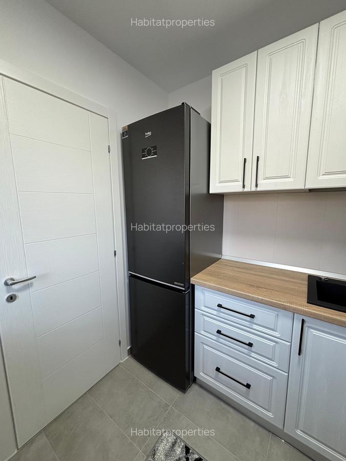 Garsoniera superba prima utilizare, Hils Republica langa Hala Laminor - 10