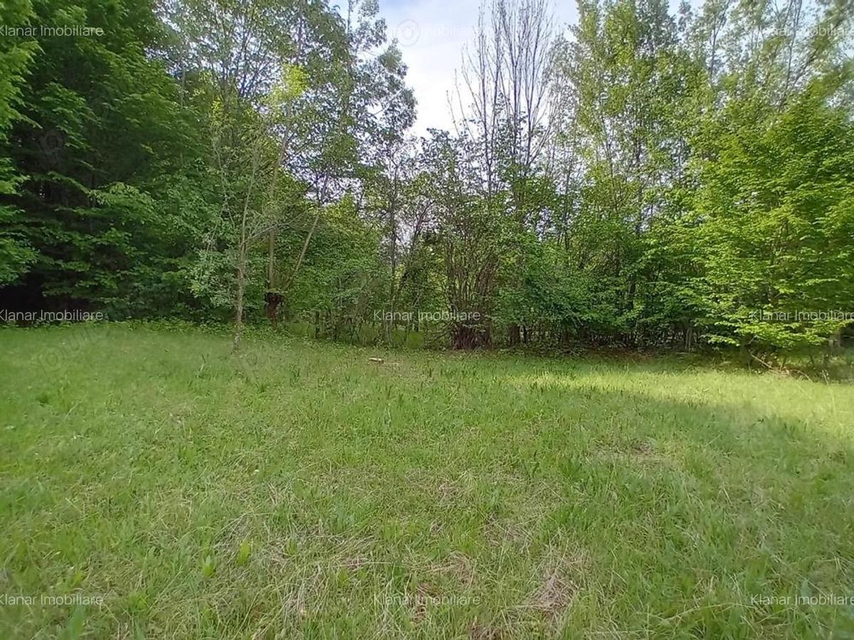 Teren de vanzare in Bradulet Arges - 7