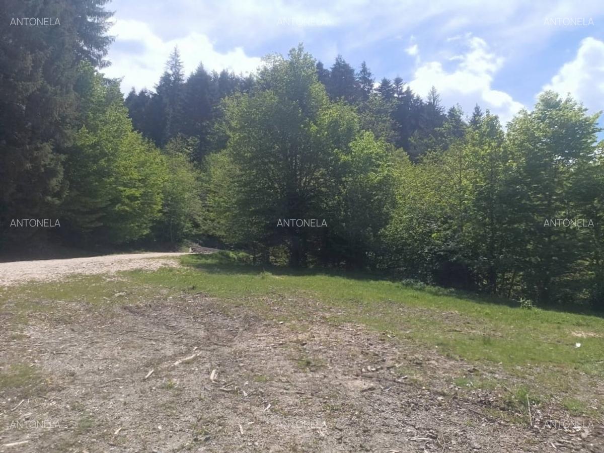 Vnd teren la munte, zona foarte frumoasă - 2
