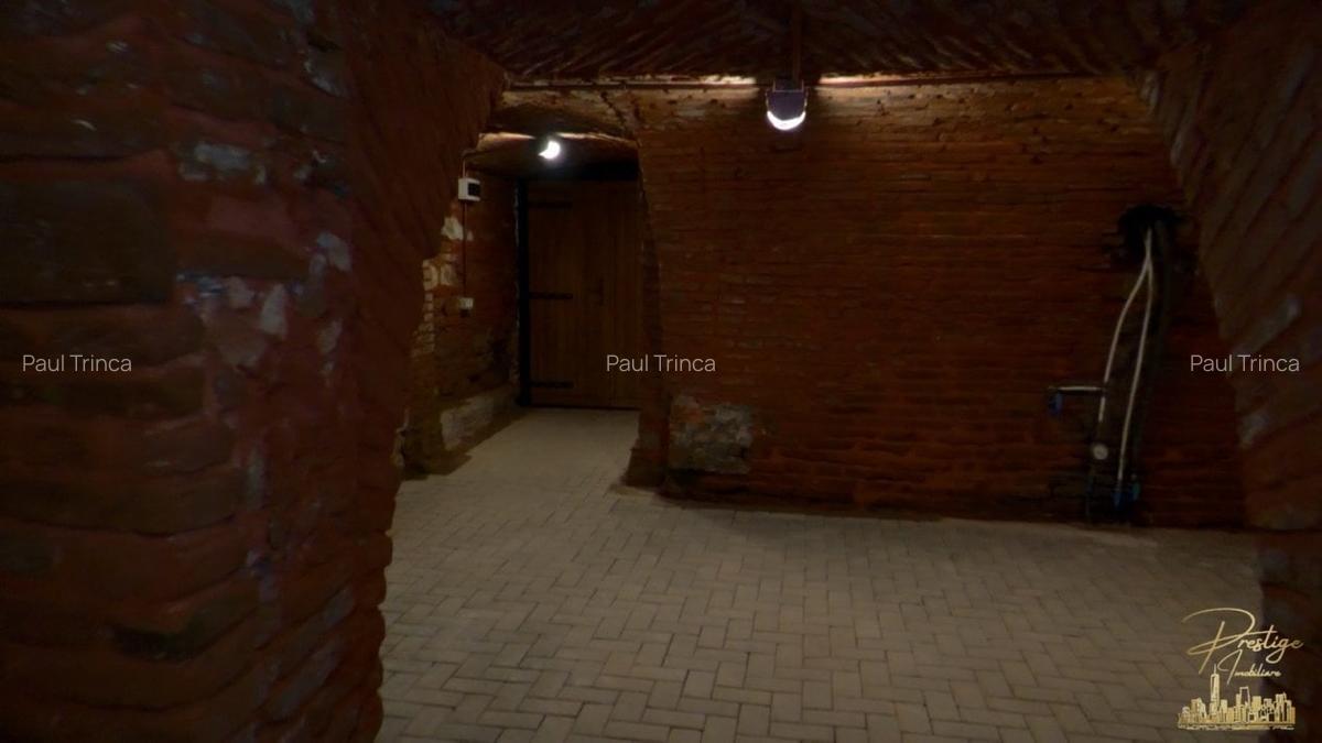 Spatiu comercial / Birou de inchiriat in Centru - Piata Avram Iancu - 11