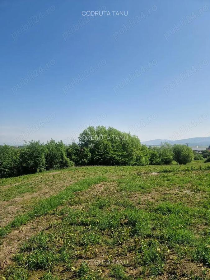 Teren intravilan 3.101 mp, Tarlungeni, Bra?ov ideal pentru casa de vacan?a sau locuin?a permanenta - 7