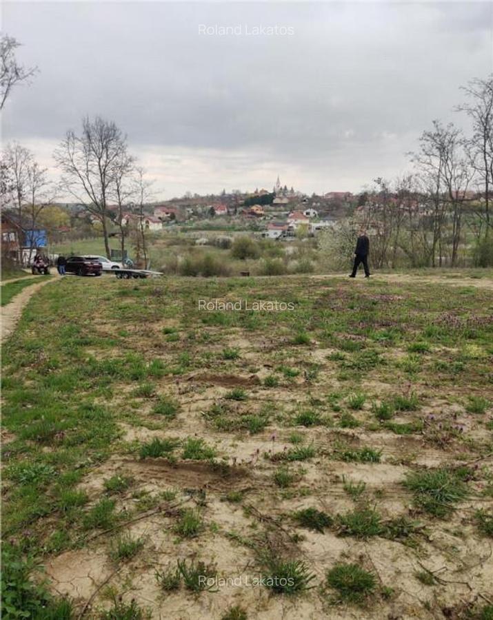 RECO . TEREN INTRAVILAN PALEU - 5