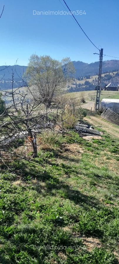 Vând casa batraneasca și teren 3892m - 5