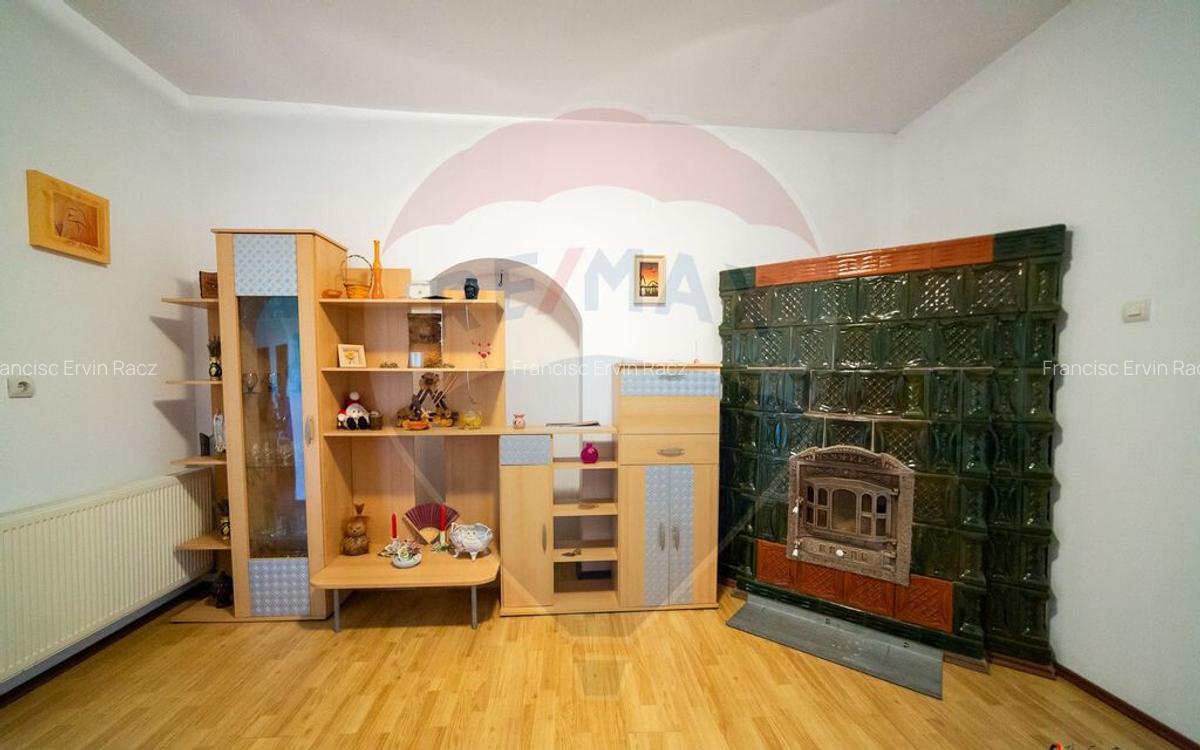 Imobil renovat, 2 apartamente, gradina ?i garaj Turnu - 13