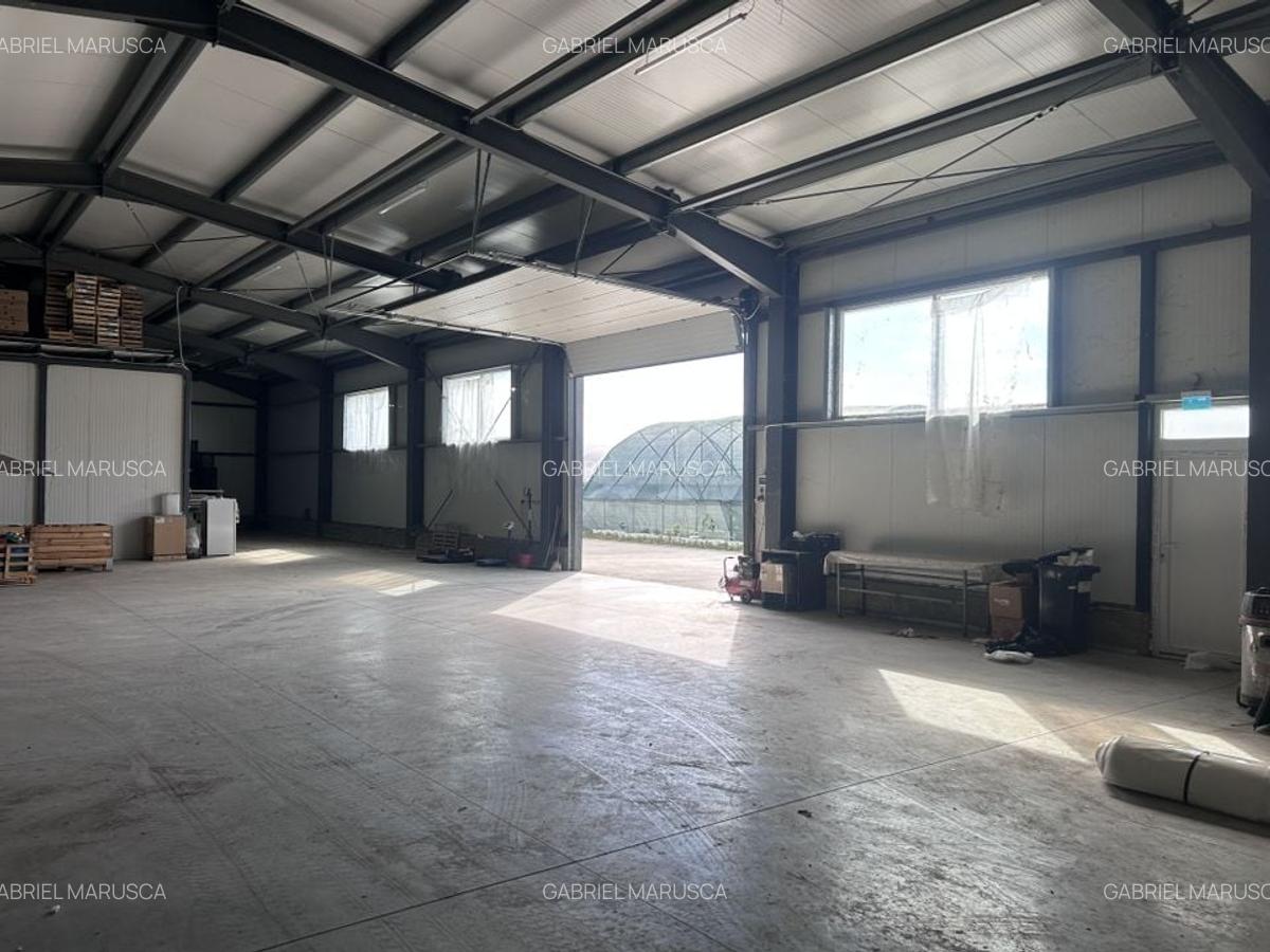 De vanzare-afacere la cheie - 14 De vanzare-afacere la cheie - 14