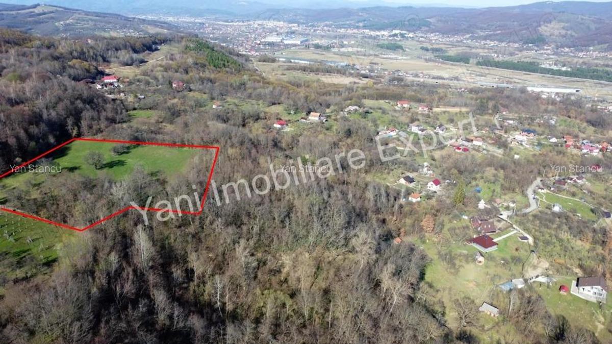 Teren 13.643 mp intravilan de vanzare in Curtea de Arge?. - 12