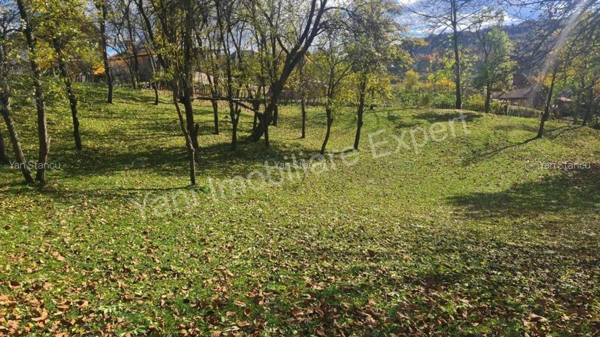 Teren de vanzare in comuna Arefu, jude? Arge?. - 13