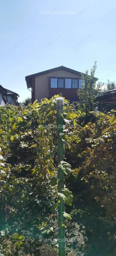 Casa de vanzare in Branesti-Ilfov - 7