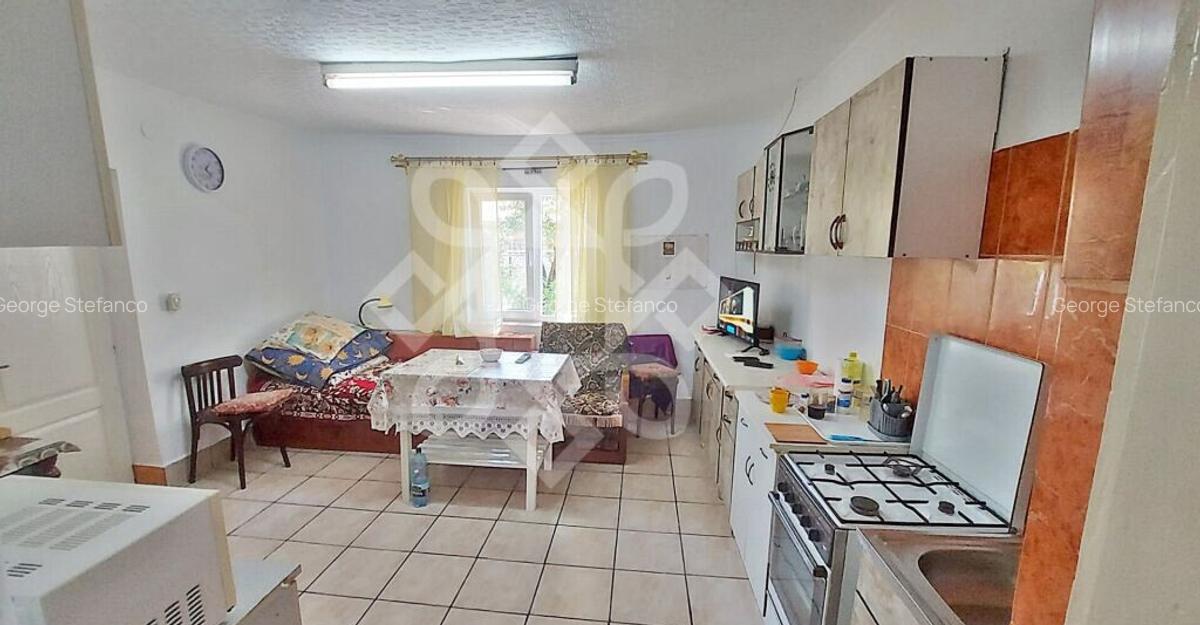 Casa cu teren in Tinca - 25