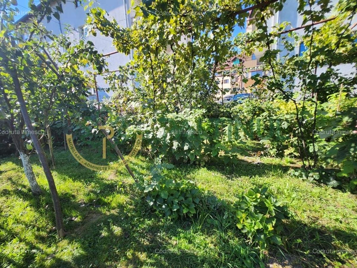 Casă Turnișor - 280 mp utili, teren 515 mp, curte și grădină pe rod - 18