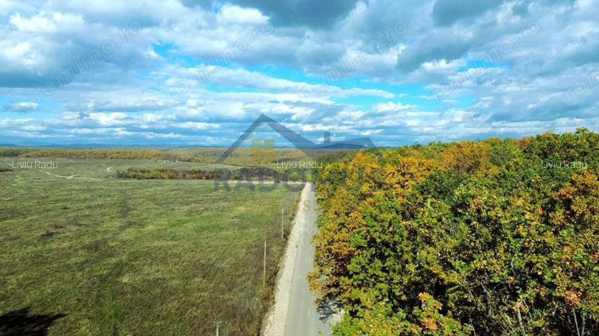 TEREN INTRAVILAN IN PADURE LA VARBILA - PRAHOVA COMISION 0% - 7