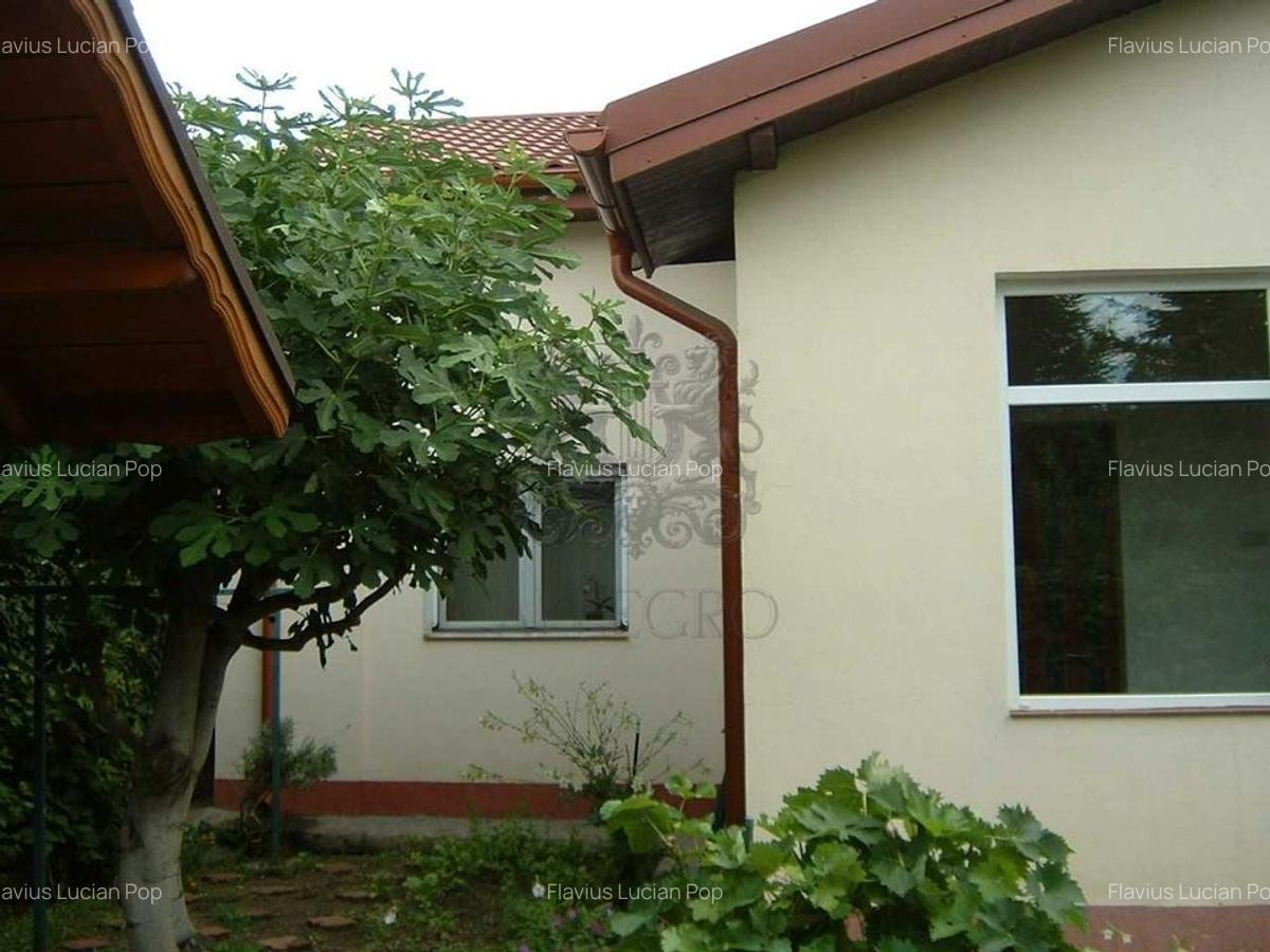 Vanzare | Casa | Otopeni Fermei | 2 Parcari | Curte libera 300 mp - 6
