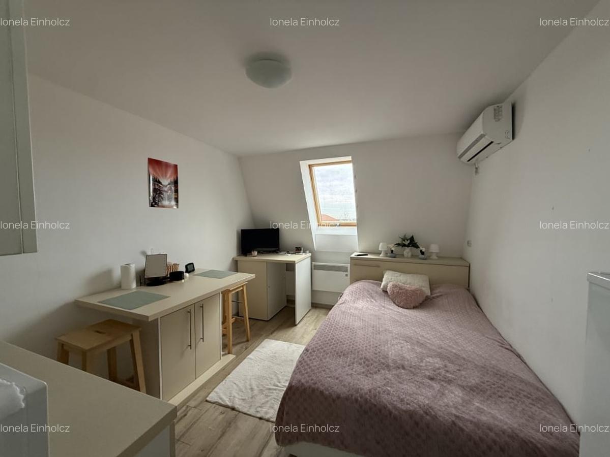 Garsoniera practica, 17 mp, mansarda - Lipovei - 1