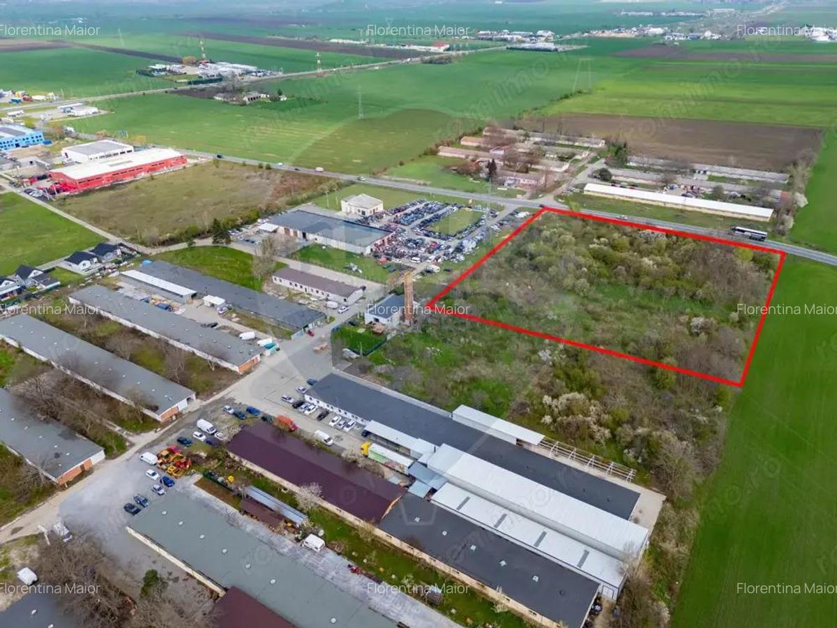 Teren 1,5ha intravilan curti constructii de vanzare Centura Arad Nord - 4