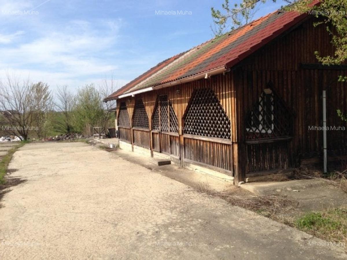 Vanzare teren Snagov Vladiceasca - 5