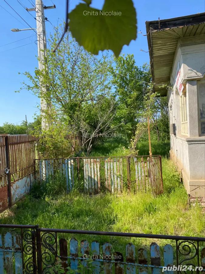Casa cu teren 1764 mp - 4