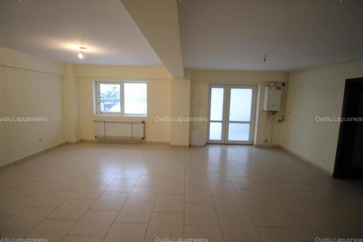 Calea Moinesti - spatiu comercial - 6