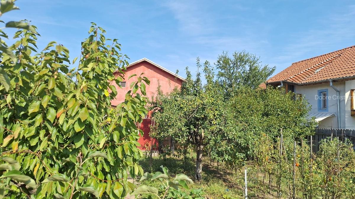 Casa de vanzare Buftea, 5 camere - 3