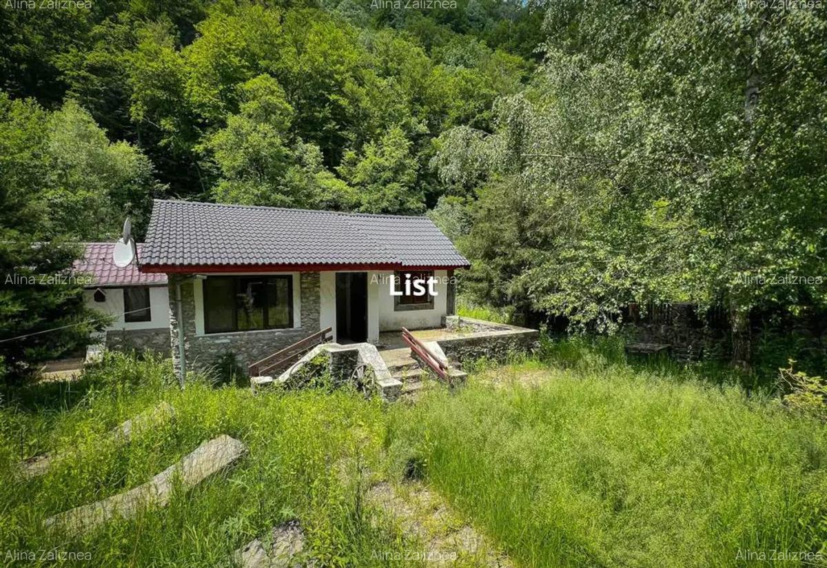 Casuta de vacanta in mijlocul naturii cu piscina - 4
