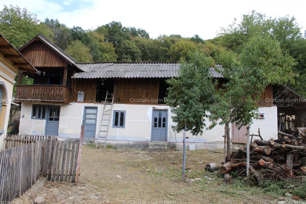 Casa si teren 5.000 mp, Stroesti - 4