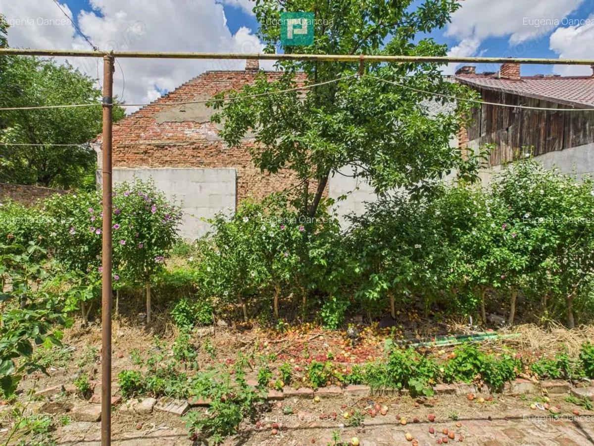 Teren 1.484 mp in zona Iosefin - 14