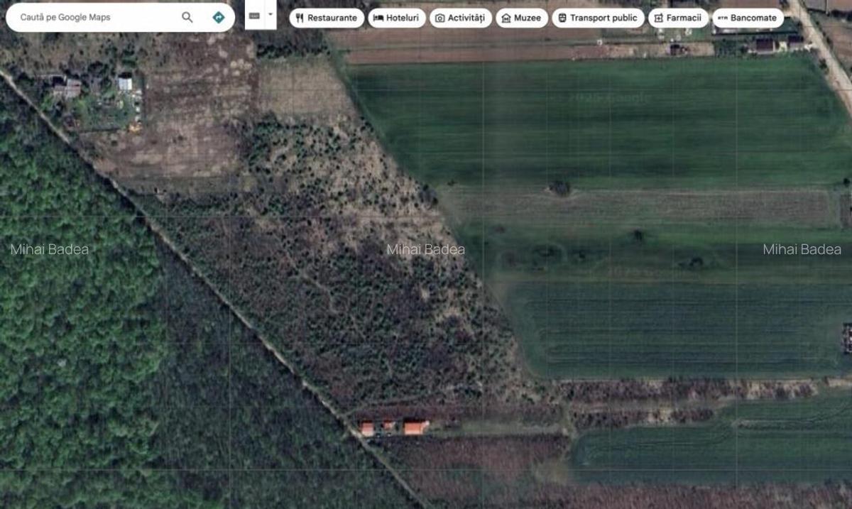 `Teren cu dubla deschidere, langa padure, Snagov - Strada Pa - 10