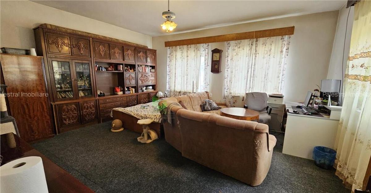 CASA HARMAN SINGUR CURTE 220000 EURO - 8